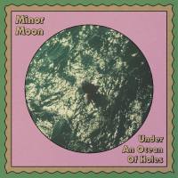 Minor Moon - Under an Ocean of Holes.flac
