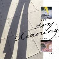 Dry Cleaning - Strong Feelings.flac