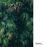 Fenomenon - Tropic Of Capricorn.flac