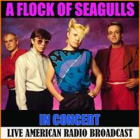 A Flock Of Seagulls - A Flock of Seagulls in Concert (2020) [Hi-Res 24Bit]