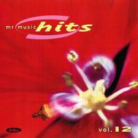 VA - Mr Music Hits 1999 Vol. 12