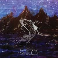 David Gray - Skellig (2021)