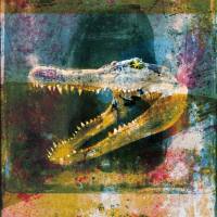 Mogwai - As The Love Continues (2021)