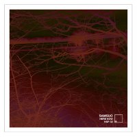 Samsuo - Here Now 2020 Hi-Res