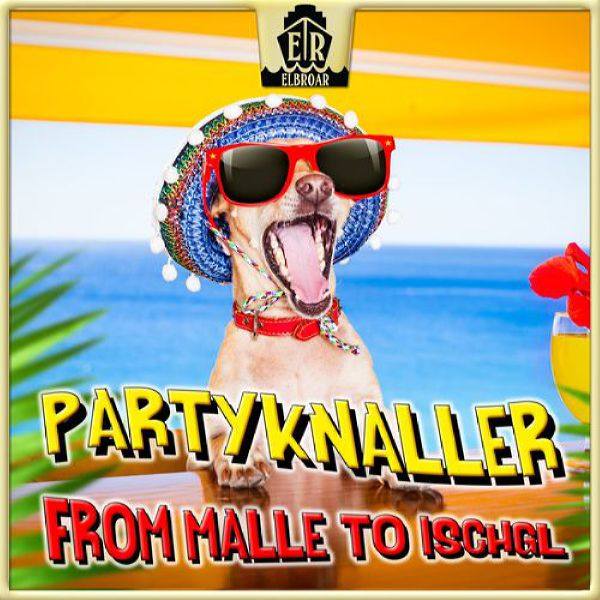 Various Artists - Partyknaller - From Malle to Ischgl (2020) Flac