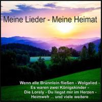 Various Artists - Meine Lieder - Meine Heimat (2021) Flac