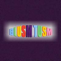 Blusm Tusm - Needle Of Dreams (long Trance mix) - 2019 - FLAC
