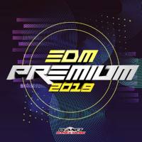 EDM Premium 2019 FLAC