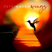 Peter Kater - Wings (2019) Flac