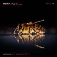 VA - Nine Years Of Techno - Selected by Anderson Noise 2019 FLAC