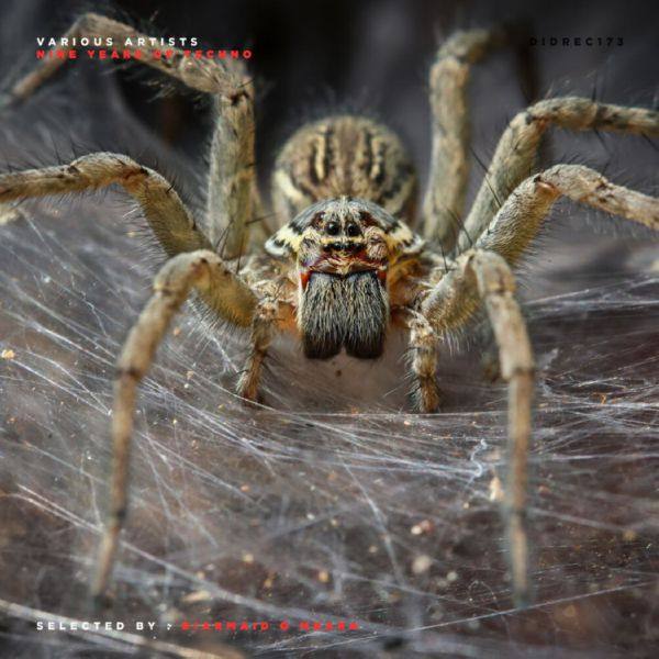 VA - Nine Years Of Techno - Selected by Diarmaid O Meara 2019 FLAC