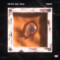 T$an - Bird's Eye View.flac