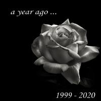 Rah Swish - A Year Ago.flac