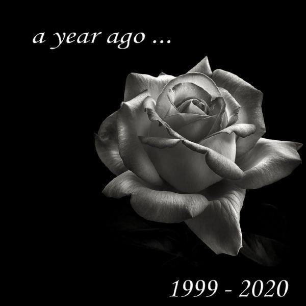 Rah Swish - A Year Ago.flac