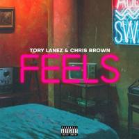 Tory Lanez - Feels (feat. Chris Brown).flac