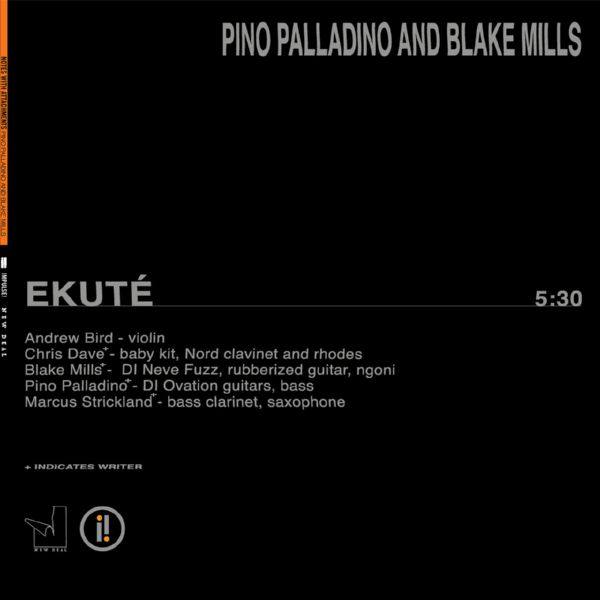 Pino Palladino, Blake Mills - Ekuté.flac