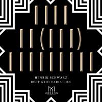 Arash Safaian, Sebastian Knauer - Henrik Schwarz Beet Grid Variation.flac