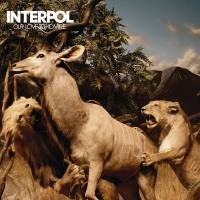Interpol - Mind Over Time - Bonus Track.flac