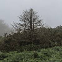 ólafur Arnalds - Epilogue.flac