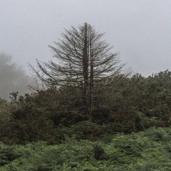 ólafur Arnalds - Epilogue.flac