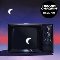 Requin Chagrin - Déjà vu.flac
