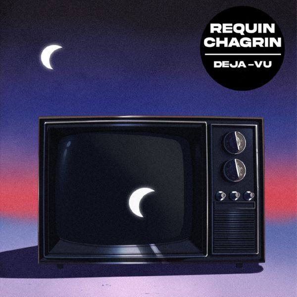 Requin Chagrin - Déjà vu.flac