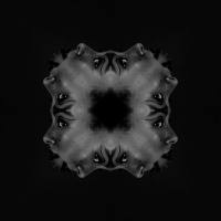 Joplyn - RESTLESS.flac