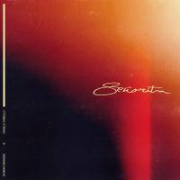 Shawn Mendes & Camila Cabello - Senorita [2019-Single]