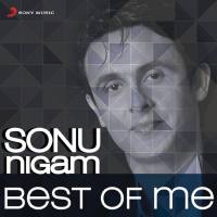 Sonu Nigam - Sonu Nigam- Best of Me - [FLAC-2013]