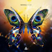 Tritonal - 2019 - U & Me