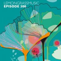 VA - 2019 - Lemongrassmusic Episode 300