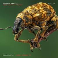 VA - Nine Years Of Techno - Selected By Agent Orange DJ (2019) [FLAC]