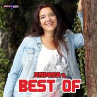 Andrea R. - Andrea R. Best Of (2020) Flac