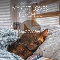 VA - My Cat Loves to Chill Chillout Your Mind 2021 FLAC