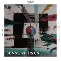 VA - Sense of House, Vol. 49