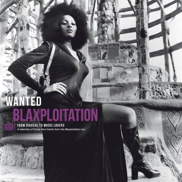 Wanted Blaxploitation - From Diggers To Music Lovers 2021 FLAC