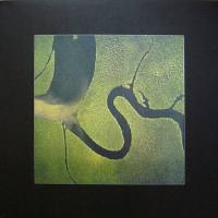 Dead Can Dance - The Serpent's Egg 19882009 FLAC