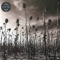 Dead Can Dance - Anastasis 2012 FLAC