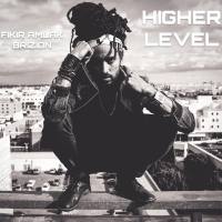 Fikir Amlak - Higher Level (2021) FLAC