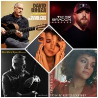 VA - Shtuo  Week Single Vol 10 2020 (44-96 kHz)Hi Res