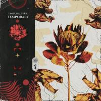 Tim Schaufert - 2021 - Temporary [FLAC]