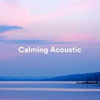 Calming Acoustic (2021) FLAC