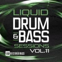 Various Artists - 2016 - Liquid Drum & Bass Sessions, Vol. 11 [FLAC]