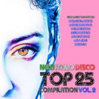 Various Artists - New Italo Disco Top 25 Compilation, Vol. 2 2015 FLAC
