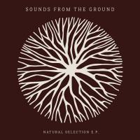 Sounds From The Ground - Natural Selection EP 2019 FLAC