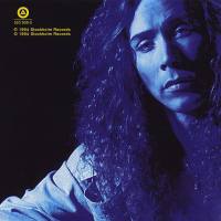 E-Type - Made In Sweden 1994 FLAC