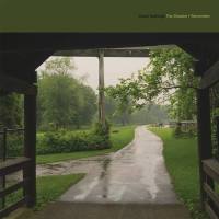 Cloud Nothings - The Shadow I Remember 2021 FLAC