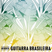 Pedro Tagliani - Guitarra Brasileira 2020 Hi-Res