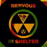 Timmy Regisford - Nervous In Shelter 2021 FLAC