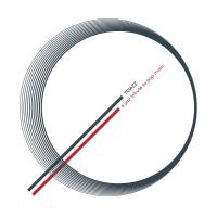 TRIAZZ, Florian Sagner, Wolfgang Roth - A Jazz Tribute to Pop Music 2021 FLAC